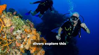 Underwater Serenity: Bunaken Island