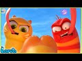 LARVA SEASON 3 EPISODE 276~ 377🍟 NEST VERSION LARVA 2024 | COMICS | MINI SERIES FROM ANIMATION LARVA