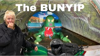 What the F%@K is a BUNYIP | Kawasaki Z650RS motorcycle #motovlog