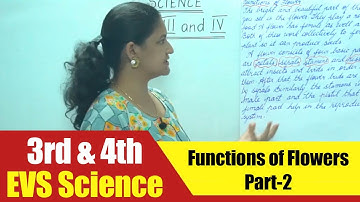 3rd & 4th EVS Science | Functions of Flowers Part-2 | CBSE Science Syllabus