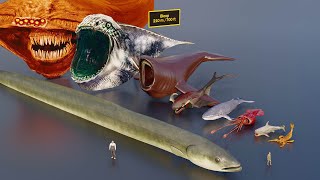 Largest sea creatures size comparison (3D animation) #animation