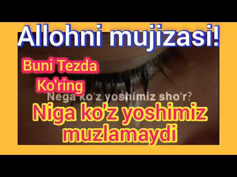 Kievdagi transseksuallar