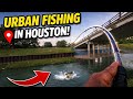 Hooked Into A Fighter Under This Bridge | Creek Fishing | Ep 1.