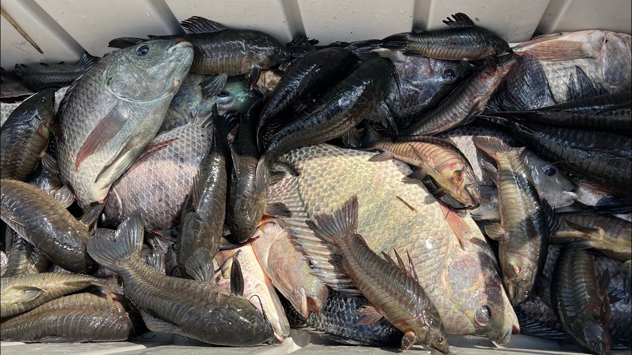 Checking out some new fishing spot