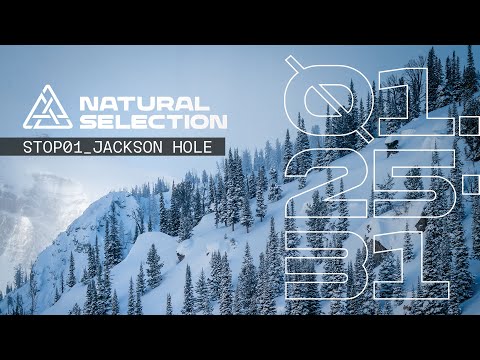 Natural Selection Returns