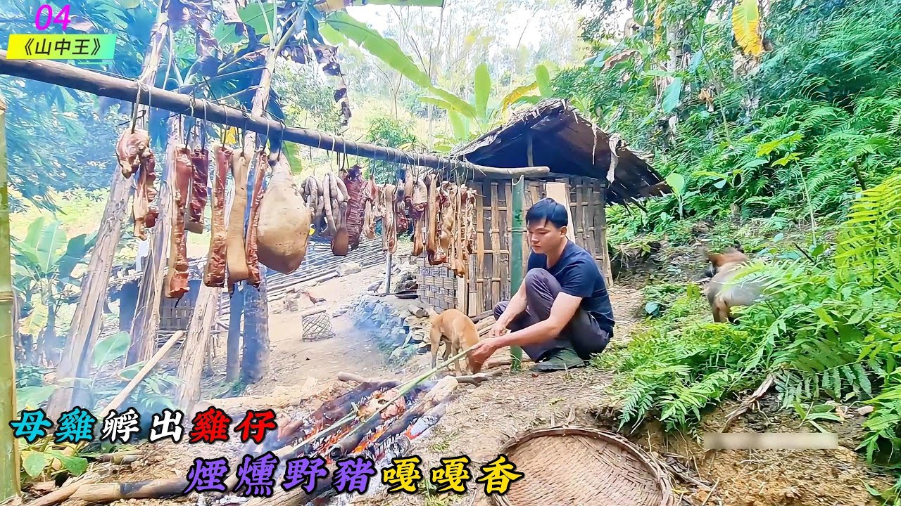 Курица высиживает цыплят, а копчёный кабанчик пахнет восхитительно. (Король гор, Эпизод 4)