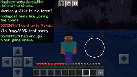 E-Chest Reveal on 2b2tpe.org