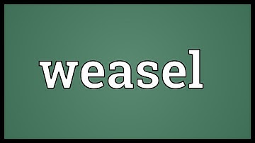 Weasel Meaning