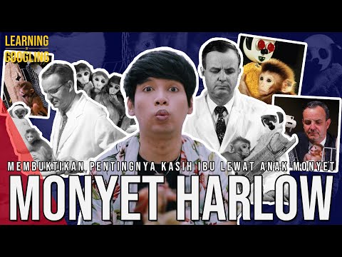 Eksperimen Kontroversial Anak Monyet Untuk Buktikan Pentingnya Kasih Ibu! | Learning By Googling