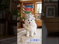 【AI歌う猫】🎵こいのぼり #こいのぼり #猫#子猫#こどもの日 #癒やし動画