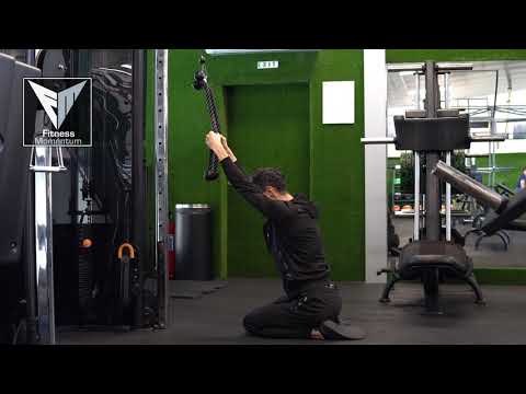Kneeling Lat Pull Down /Ropes
