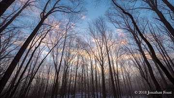 How to Accompany Those Who are Suffering    / Jonathan Foust