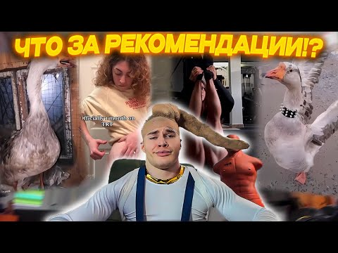 ДЕРЗКО69 ОРЁТ на ГУСЕЙ в ТИК-ТОКЕ 