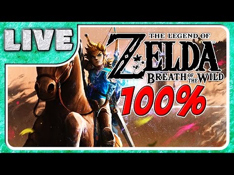 100% RUN | ZELDA BREATH OF THE WILD - 100% RUN | ZELDA BREATH OF THE WILD