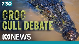 An explosion in crocodile numbers is leading to a mass removal | 7.30 by ABC News In-depth 15,713 views 4 days ago 7 minutes, 38 seconds