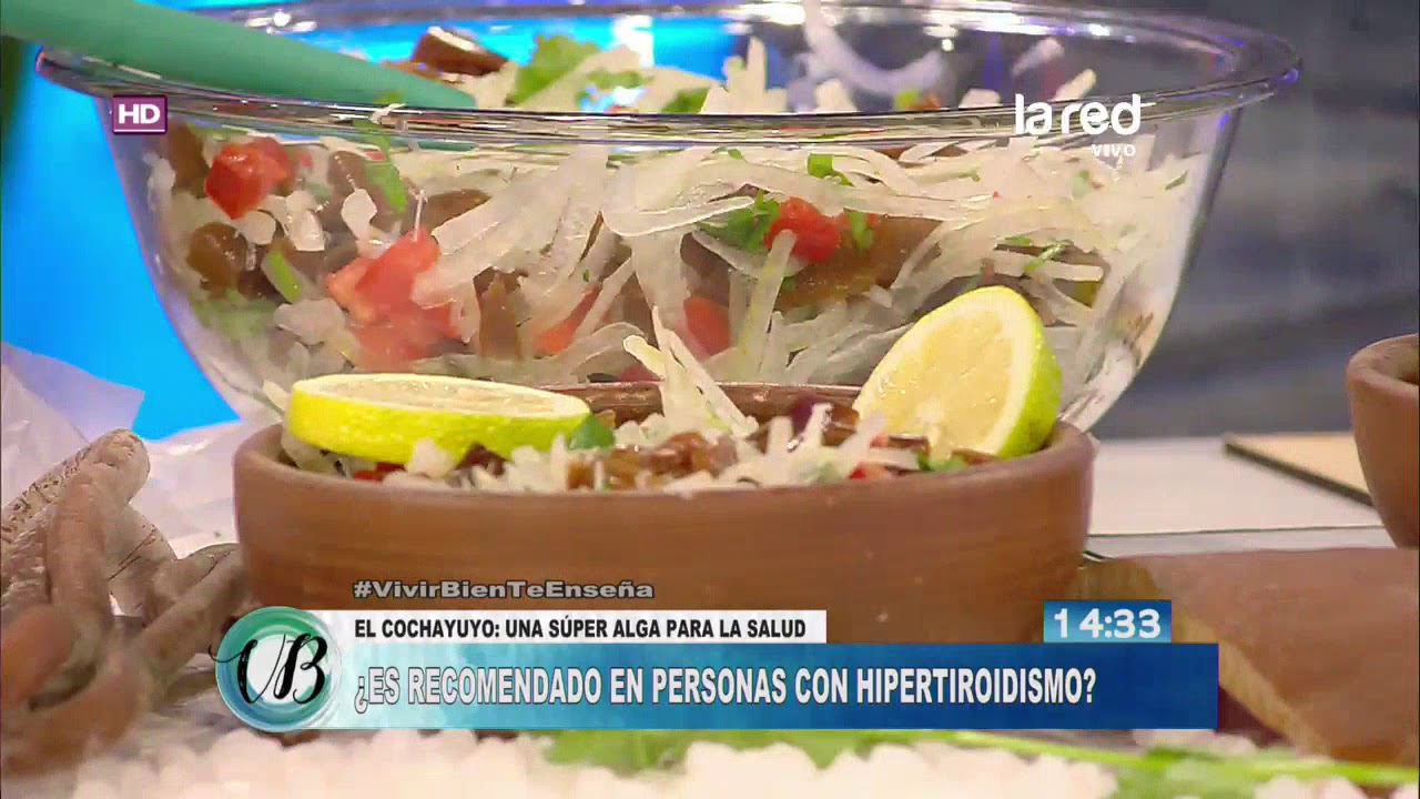 Alga Cochayuyo, grandes propiedades medicinales Alga Cochayuyo, grandes propiedades medicinales