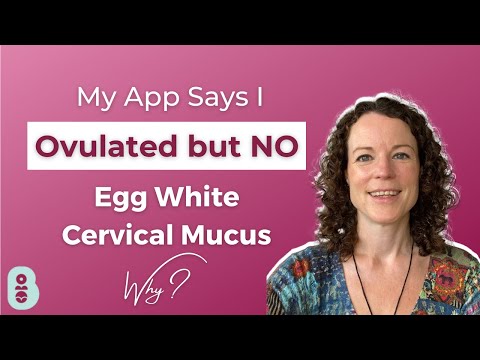 App predicted ovulation but no egg white cervical mucus