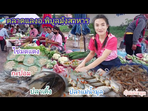 #ตลาดนัด ตอนเย็น อาหารอีสานพื้นบ้าน สด ใหม่ ตามฤดูกาล ปลาแม่น้ำมูลสดๆ อ.พิบูลมังสาหาร จ.อุบล