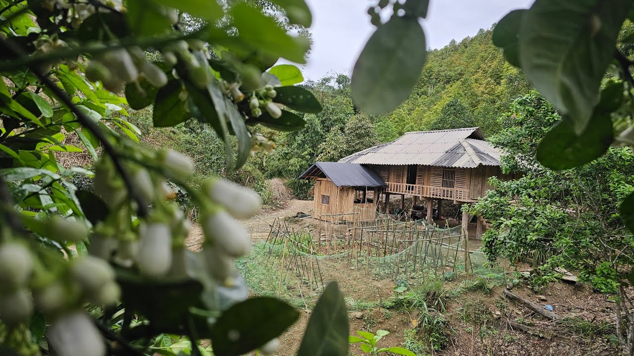 24/24 Hours of A Pao – A Day of Energetic Work in the High Mountains. #sung a Pao #SungAPao