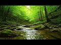 ☕ 2 Hours of Cozy Coffee Shop Jazz | Relaxing Music for Studying, Focus & Sleep