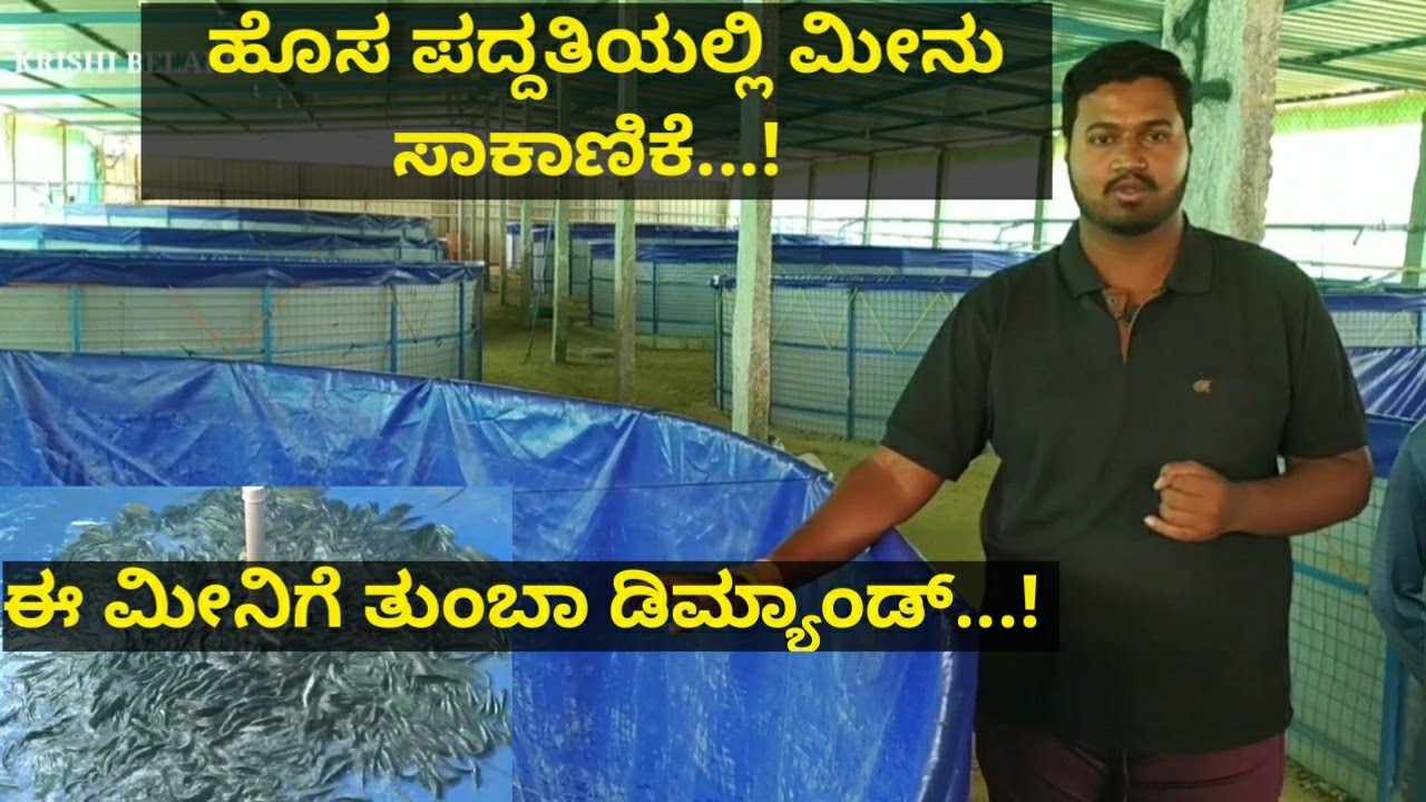 ವಿದ್ಯಾಭ್ಯಾಸದ ಜೊತೆಗೆ ಹೊಸ ಪದ್ದತಿಯಲ್ಲಿ ಮೀನು ಸಾಕಾಣಿಕೆ ಮಾಡಿ ಯಶಸ್ವಿಯಾದ ಯುವಕ...!