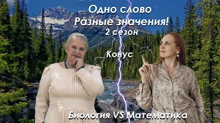 Биология VS Математика| сезон 2| Конус| Надежда Павловна Медведева