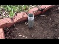 Hops trellis for a home garden Hops trellis for a home garden