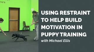 Using Restraint to Help Build Motivation in Puppy Training with Michael Ellis