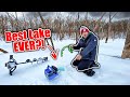 Best Day EVER Ice Fishing - Underwater Forest is a Fish MAGNET!!
