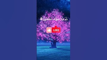 سورة التكاثر بصوت الشيخ ماهر المعيقلي