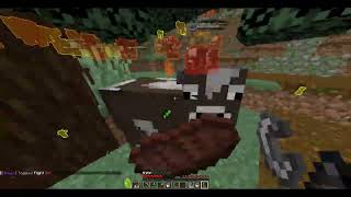 COMMITTING ARSON on a PRIVATE SMP 100X100 Minecraft Map