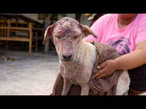 His Skin Was Raw... Today the Healing Finally Begins