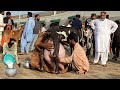 Highest milking goats milk competition university of agriculture faislabad