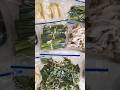 野菜の冷凍テク9選🪄 #冷凍野菜 #野菜保存法
