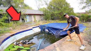 Saving TURTLES from ABANDONED Backyard POOL!!!