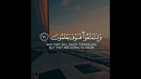 فَإِذَا رَكِبُوا فِي الْفُلْكِ دَعَوُا اللَّهَ مُخْلِصِينَ||سورة العنكبوت||للقارئ عبد الرحمن مسعد🎧