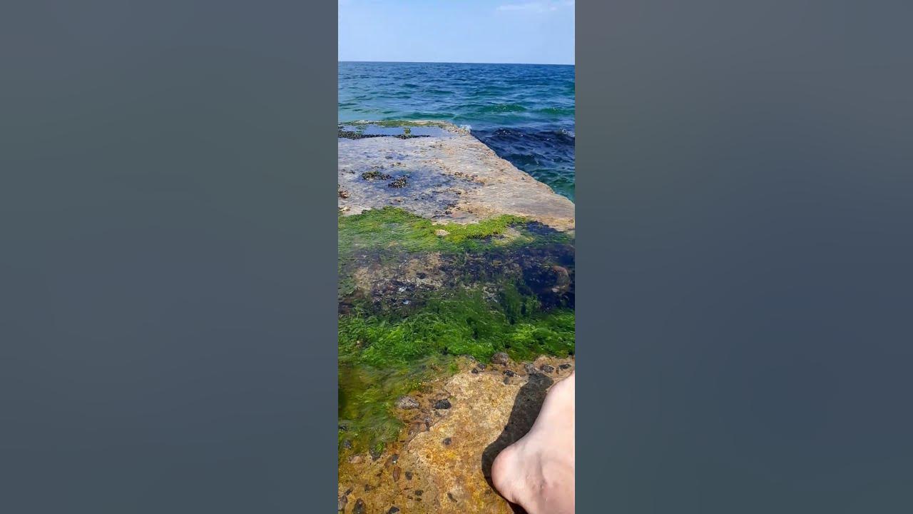 ЗАПОРОЖЬЕ #море - YouTube