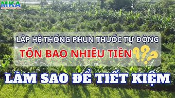 Tốn bao nhiêu tiền để lắp hệ thống phun thuốc tự động? Làm sao để tiết kiệm mà vẫn đạt hiệu quả