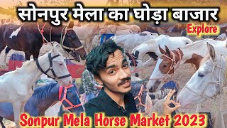 Horse Market Sonpur mela | ghoda bazar sonpur mela | Sonpur Mela Horse Market 2023 *EXPLORE*