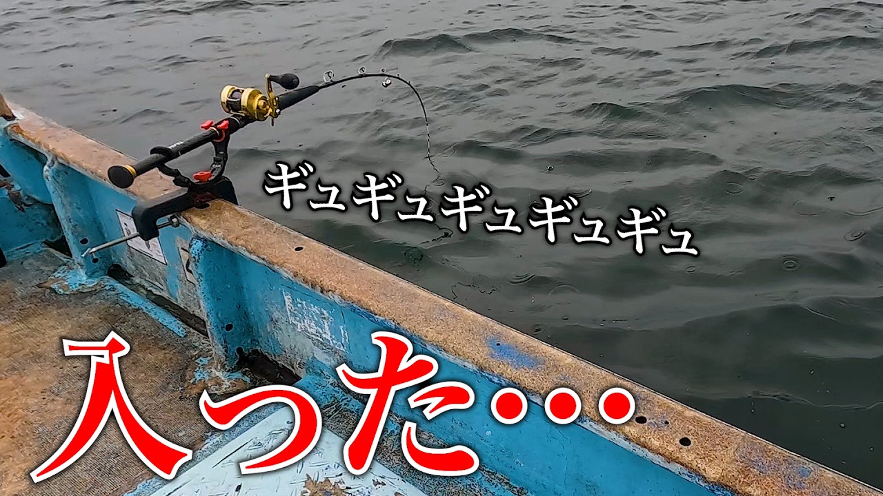 アジ泳がせに喰らい付いた怪物をスーパーで売ったら凄い反応（爆）
