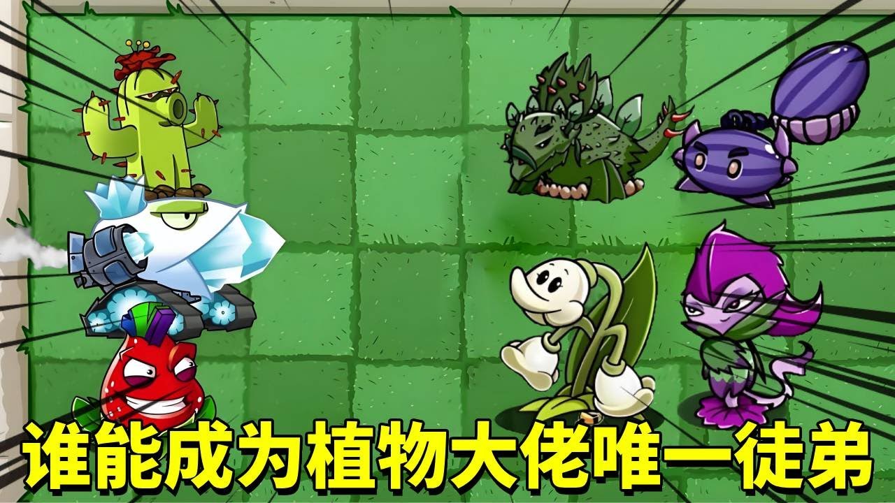 植物大战僵尸：大佬植物开启选徒模式，真本事对决谁能脱颖而出？【倩揍铁铁】