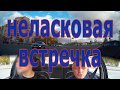 Неласковая встречка. Инструктор по вождению.  СПб.