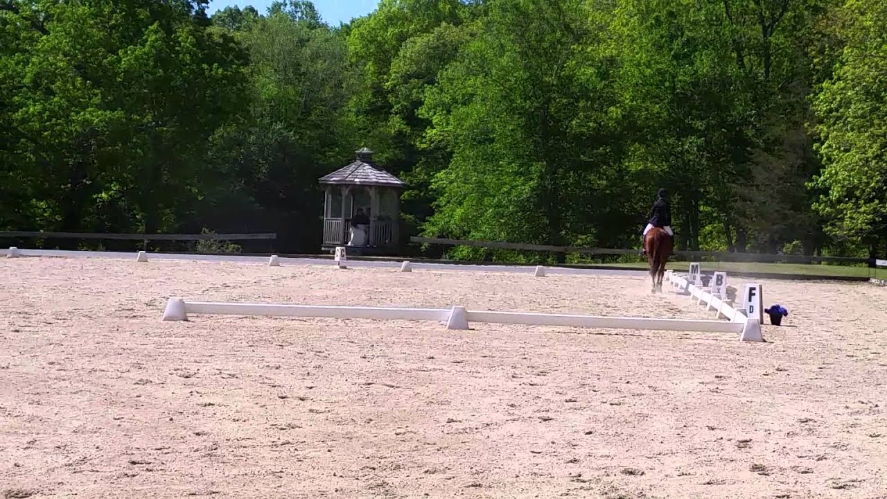 Tic Tac Man dressage Mystic HT 15 YouTube