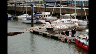 Oostende, Belgium