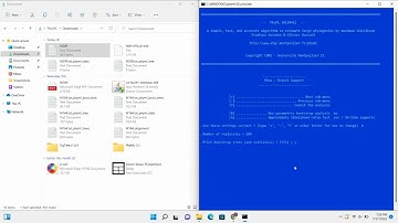 Phylogenetic Tree Tutorial