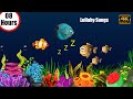 Mozart Brahms Lullaby ♥ Baby Sleep Music 💤 Relax Instantly ♥ Fall Asleep Fast in Just 3 Minutes #22
