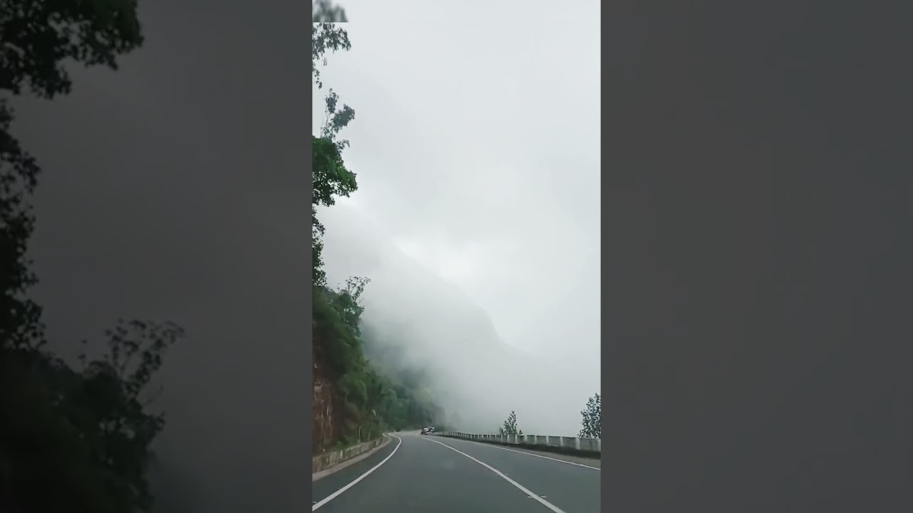 Foggy Roads of Munnar – Pure Vibes!      comment to know more about the place