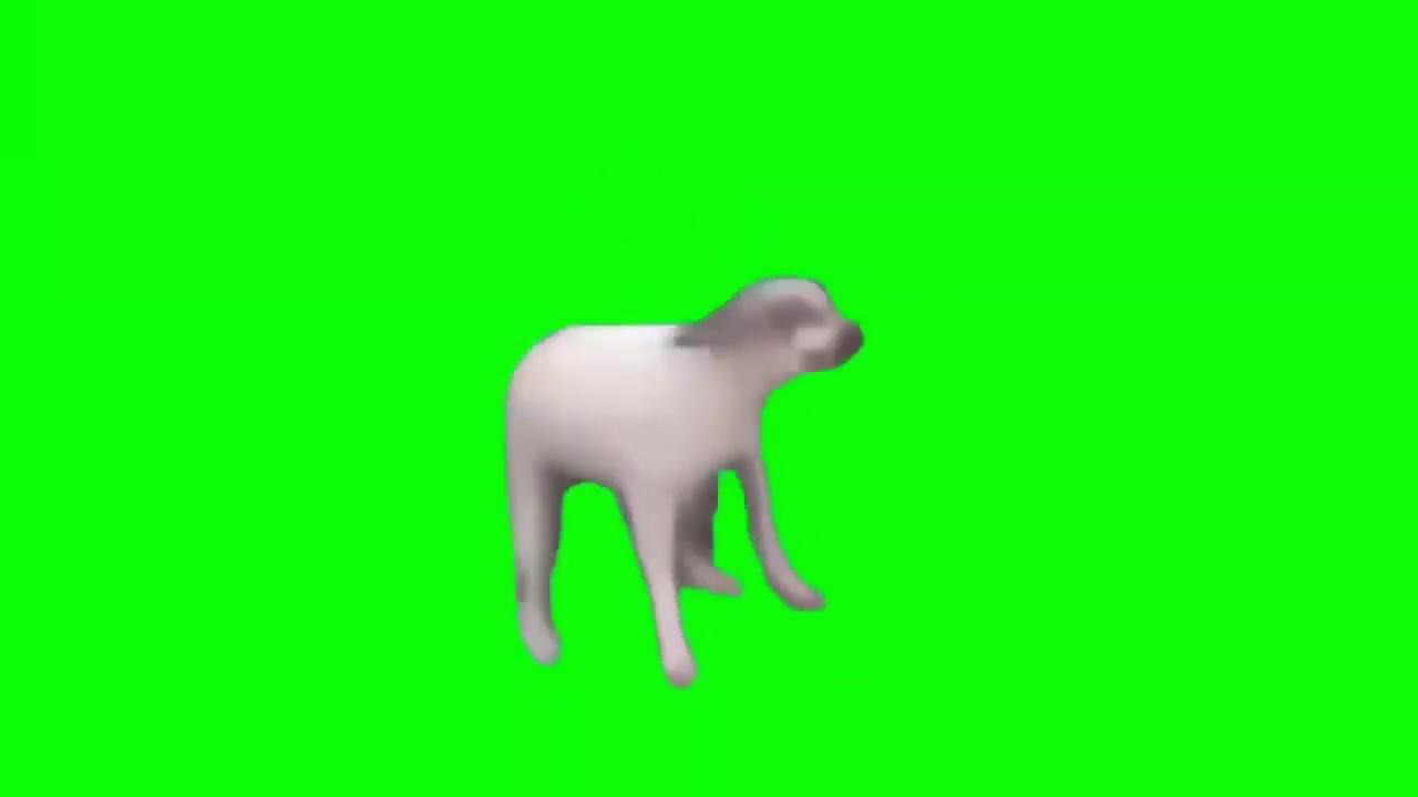 Dog Dancing Green Screen Memes Templates by Memer - YouTube