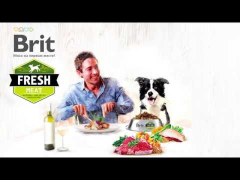Brit Fresh обзорная лекция