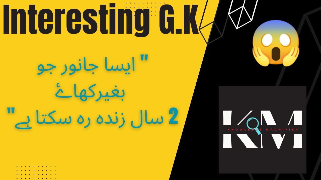 Interesting General knowledge G.K in Urdu Dilchasp Maloomat